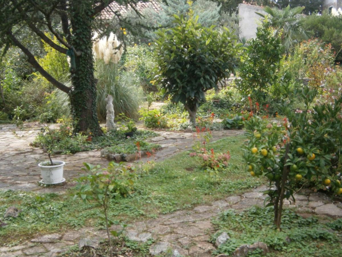 Maria Apartments Βόντιτσε Εξωτερικό φωτογραφία